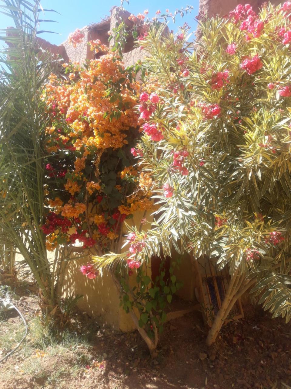 Hotel Kasbah Timidarte Zaouita Bou Lhassane Esterno foto