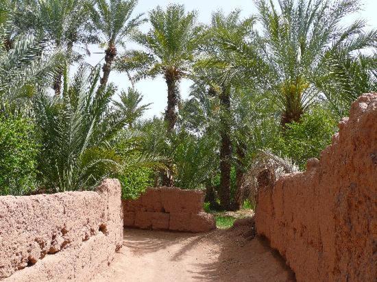 Hotel Kasbah Timidarte Zaouita Bou Lhassane Esterno foto